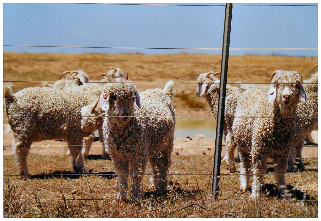 03 - Victoria (10).jpg